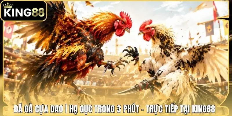Đá Gà Cựa Dao | Hạ Gục Trong 3 Phút - Trực Tiếp Tại King88