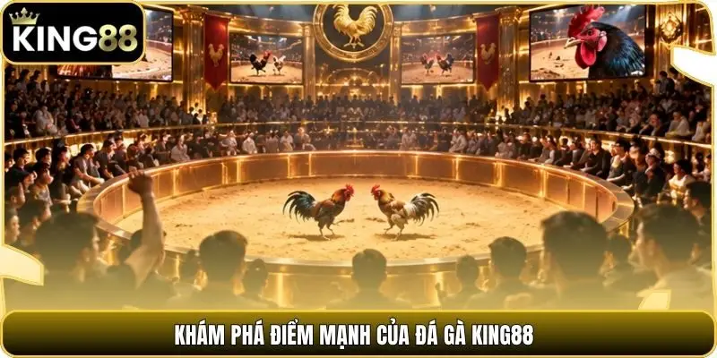Khám phá điểm mạnh của đá gà king88